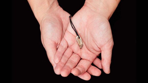 Pingente de dente de foca-cinzenta de 15 mil anos encontrado na Inglaterra - Sputnik Brasil