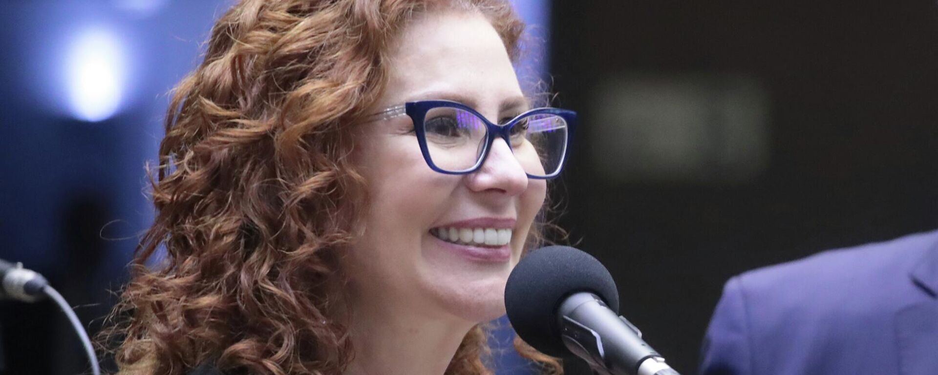 A então deputada federal Carla Zambelli durante sessão plenária na Câmara, em 4 de dezembro de 2024 - Sputnik Brasil, 1920, 10.04.2026
