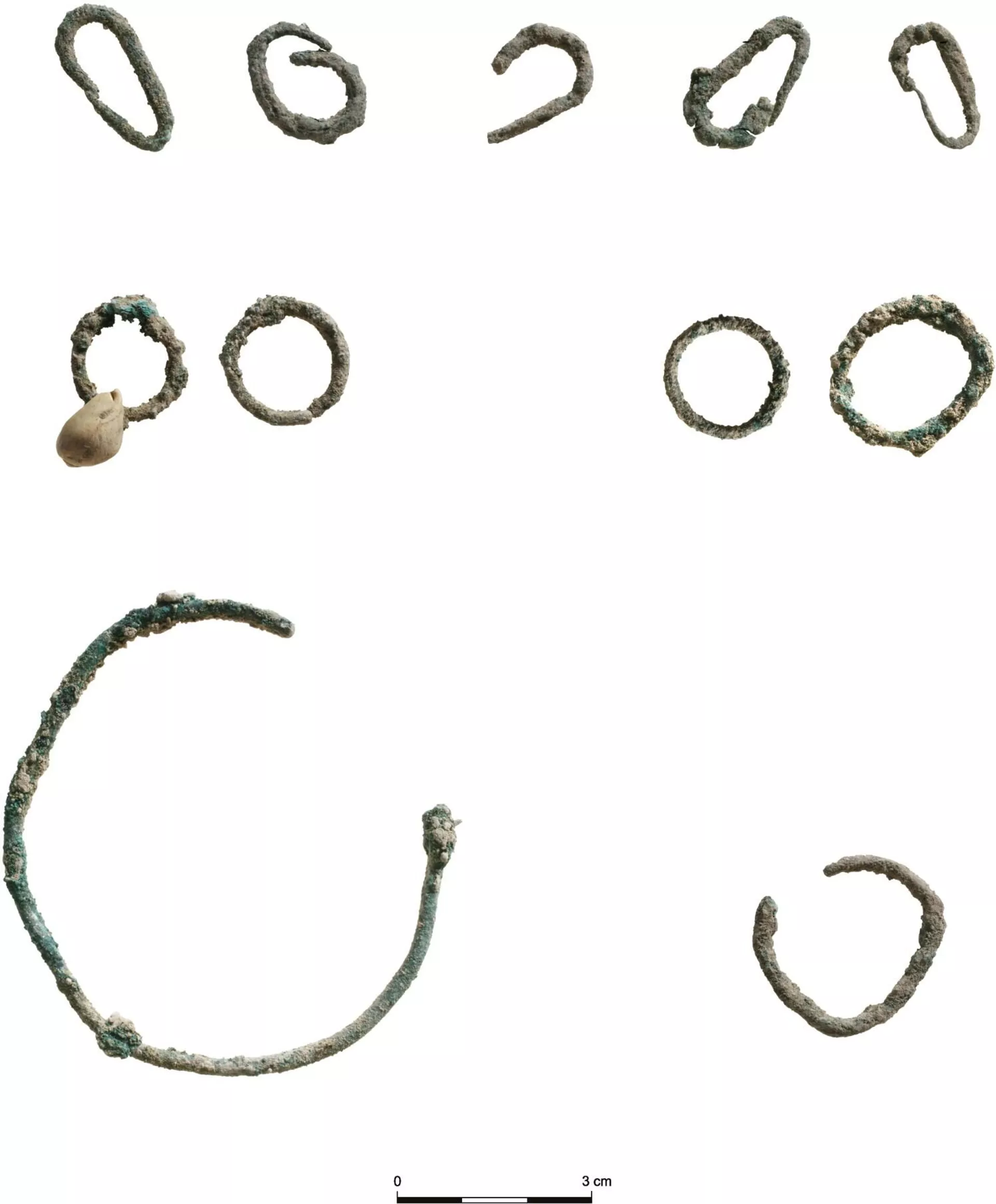 Uma seleção de objetos de metal encontrados no local da vala comum. - Sputnik Brasil, 1920, 12.04.2026