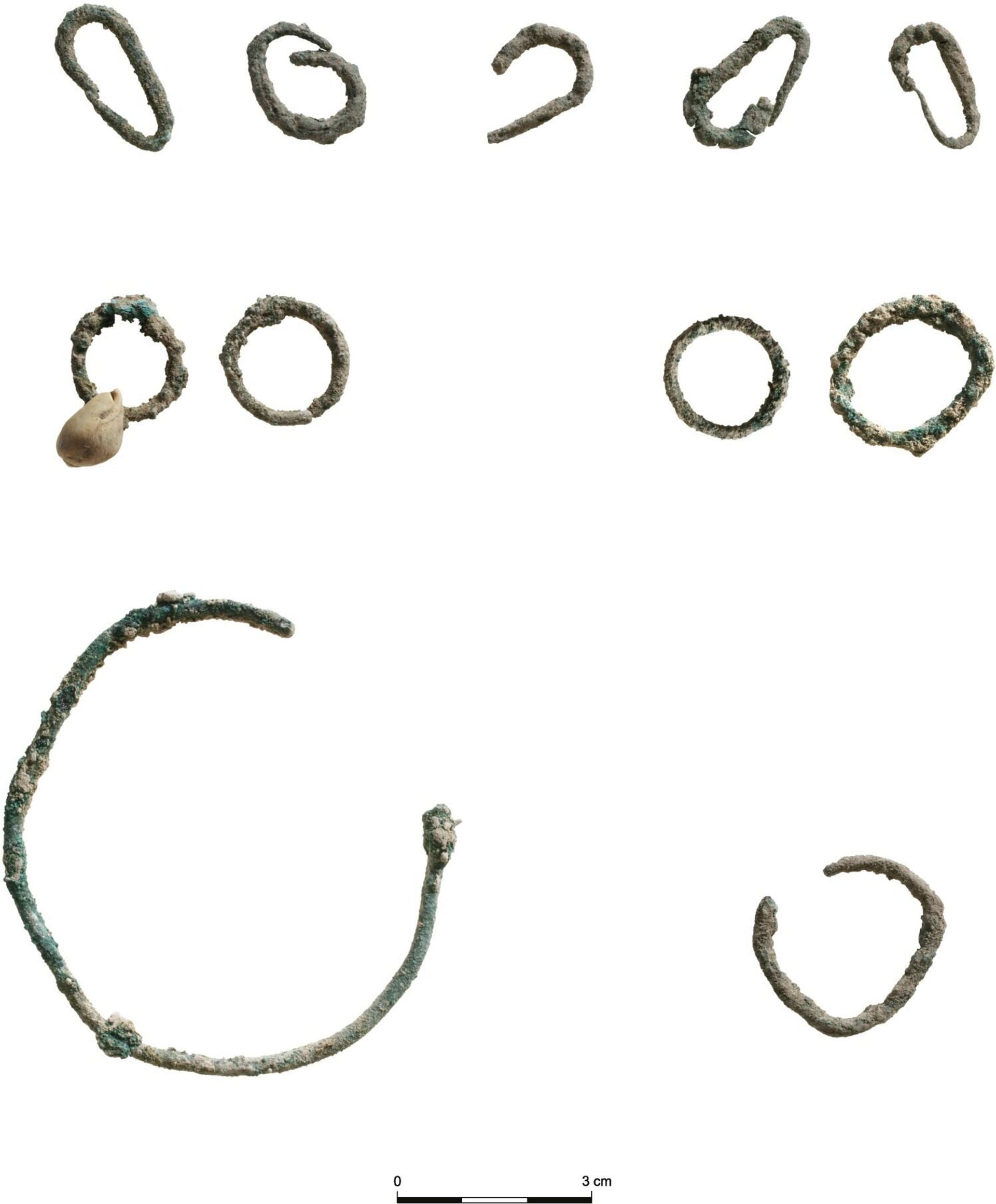 Uma seleção de objetos de metal encontrados no local da vala comum. - Sputnik Brasil, 1920, 12.04.2026