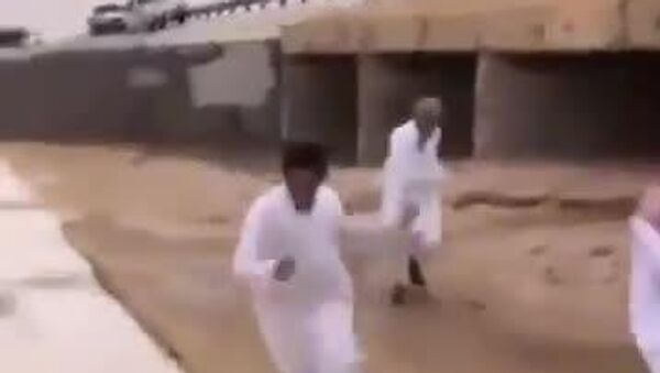 Chuvas transformam regiões áridas na Arábia Saudita - Sputnik Brasil