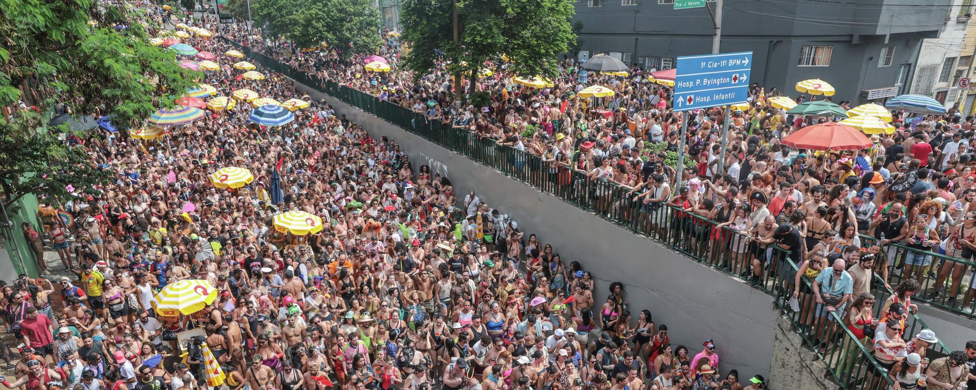 O desfile do Bloco. G Treme Mon Amour, no bairro da Bela Vista, em São Paulo, em 14 de fevereiro de 2026 - Sputnik Brasil, 1920, 19.04.2026
