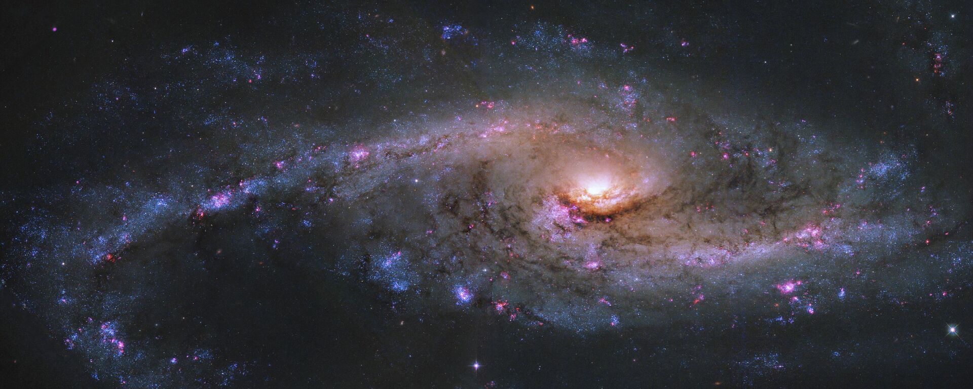 A galáxia espiral NGC 4536, com sua intensa formação estelar, é brilhante, apresentando aglomerados azuis de formação estelar e aglomerados rosados ​​de hidrogênio ionizado - Sputnik Brasil, 1920, 27.04.2026