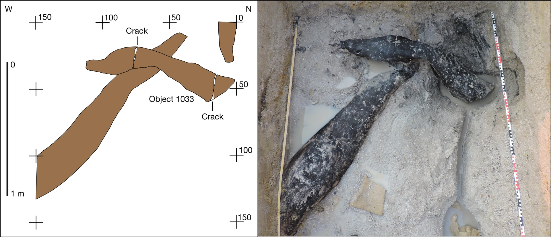 Fragmentos de elementos de madeira encontrados numa construção com 476 mil anos - Sputnik Brasil, 1920, 30.04.2026