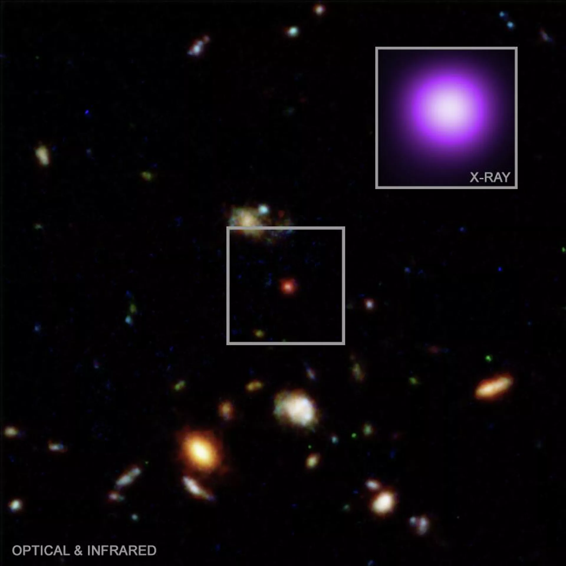 Uma imagem composta do JWST e do Hubble do pequeno ponto vermelho, e no detalhe, a imagem de raios X do Chandra - Sputnik Brasil, 1920, 30.04.2026