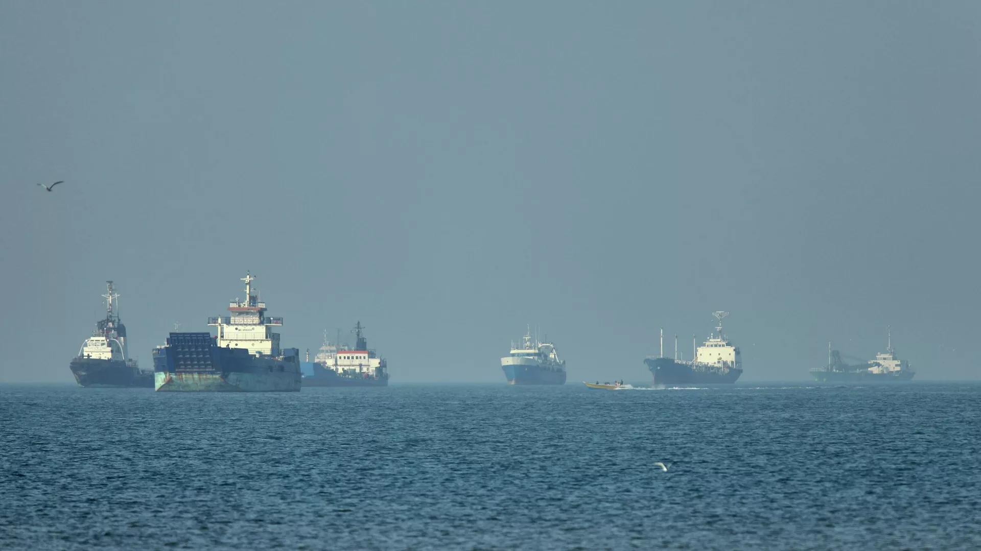 Navios de carga, incluindo graneleiros e navios de carga geral, ancorados enquanto esperam liberação para atravessar o estreito de Ormuz, em 4 de maio de 2026 Navios de carga, incluindo graneleiros e navios de carga geral, ancorados enquanto esperam liberação para atravessar o estreito de Ormuz, em 4 de maio de 2026 - Sputnik Brasil, 1920, 28.05.2026