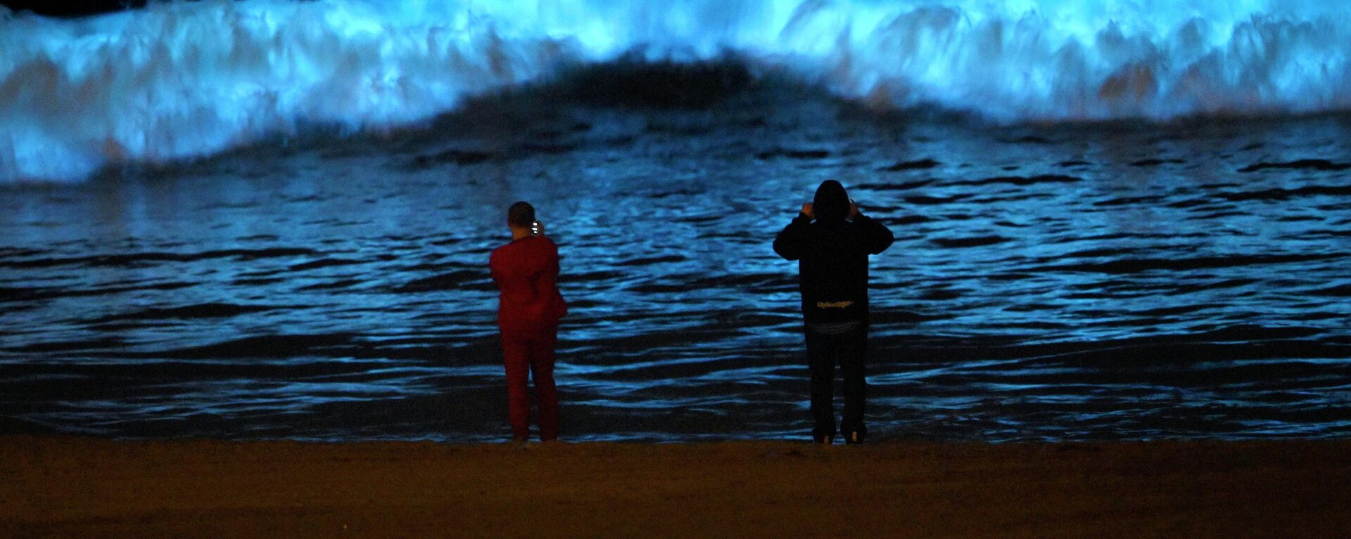Espectadores observam o plâncton bioluminescente iluminar a costa enquanto se agita nas ondas da praia de Dockweiler State Beach durante a pandemia de COVID-19, em Los Angeles, Califórnia, 29 de abril de 2020 Espectadores observam o plâncton bioluminescente iluminar a costa enquanto se agita nas ondas da praia de Dockweiler State Beach durante a pandemia de COVID-19, em Los Angeles, Califórnia, 29 de abril de 2020 - Sputnik Brasil, 1920, 07.05.2026