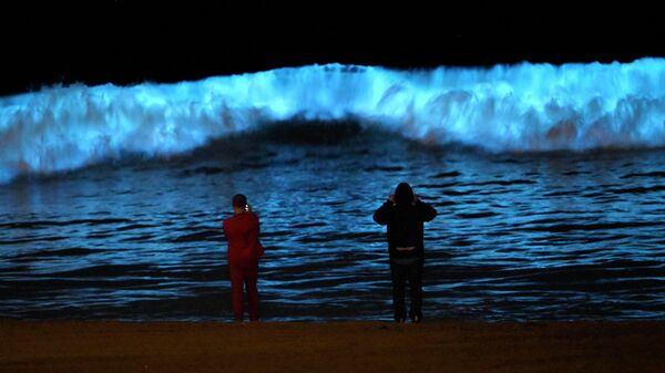 Espectadores observam o plâncton bioluminescente iluminar a costa enquanto se agita nas ondas da praia de Dockweiler State Beach durante a pandemia de COVID-19, em Los Angeles, Califórnia, 29 de abril de 2020 - Sputnik Brasil