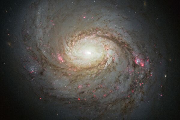 Imagem da galáxia M77, também conhecida como Galáxia da Lula, obtida pelo Telescópio Espacial Hubble e divulgada em 2013 - Sputnik Brasil