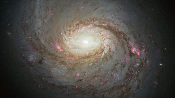 Imagem da galáxia M77, também conhecida como Galáxia da Lula, obtida pelo Telescópio Espacial Hubble e divulgada em 2013 - Sputnik Brasil