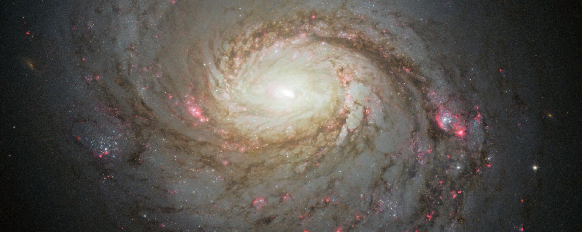Imagem da galáxia M77, também conhecida como Galáxia da Lula, obtida pelo Telescópio Espacial Hubble e divulgada em 2013 Imagem da galáxia M77, também conhecida como Galáxia da Lula, obtida pelo Telescópio Espacial Hubble e divulgada em 2013 - Sputnik Brasil, 1920, 07.08.2026
