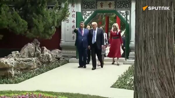 Xi Jinping apresenta jardim do palácio Zhongnanhai a Donald Trump, que fica impressionado com o local - Sputnik Brasil
