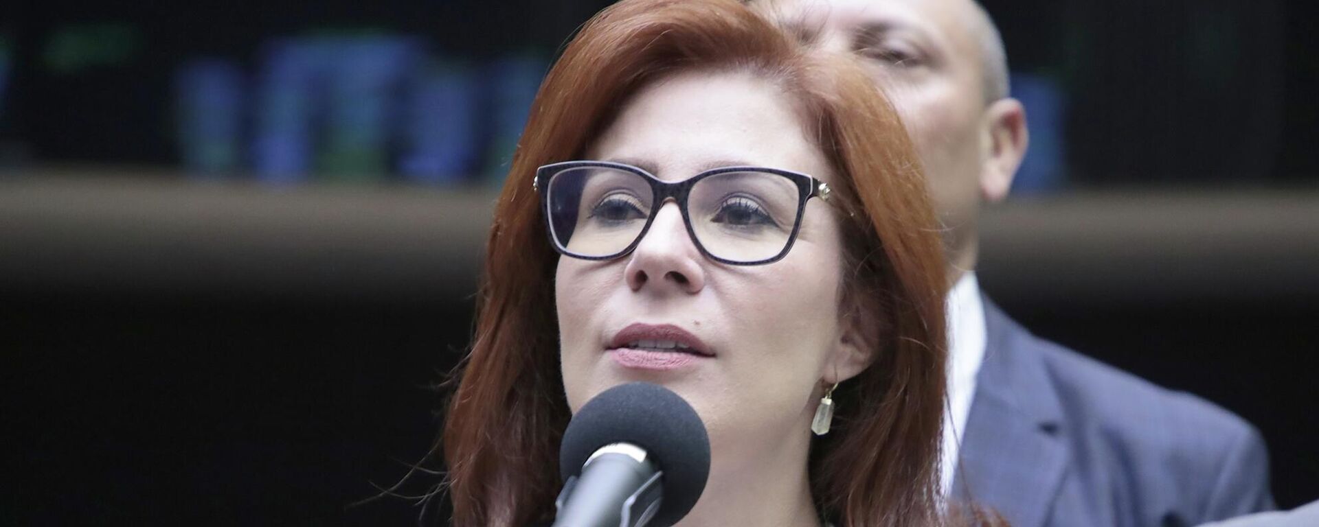 A então deputada federal Carla Zambelli durante sessão no plenário da Câmara dos Deputados, em 18 de junho de 2024 - Sputnik Brasil, 1920, 19.05.2026