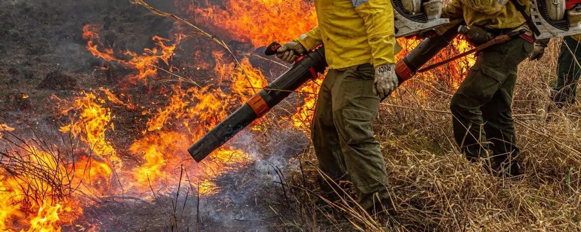 Brigadistas combatem incêndio florestal - Sputnik Brasil, 1920, 26.05.2026