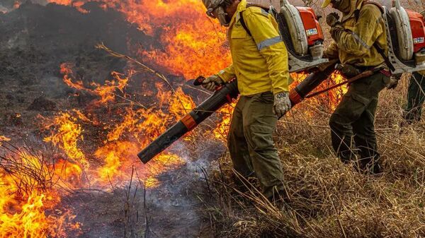 Brigadistas combatem incêndio florestal - Sputnik Brasil