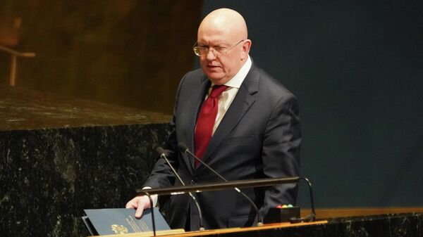 O embaixador da Rússia na ONU, Vasily Nebenzya, sobe ao palco antes de discursar na 74ª sessão da Assembleia Geral das Nações Unidas sobre a resolução do conflito no leste da Ucrânia, na sede da ONU em Nova York, Estados Unidos, em 20 de fevereiro de 2020 - Sputnik Brasil
