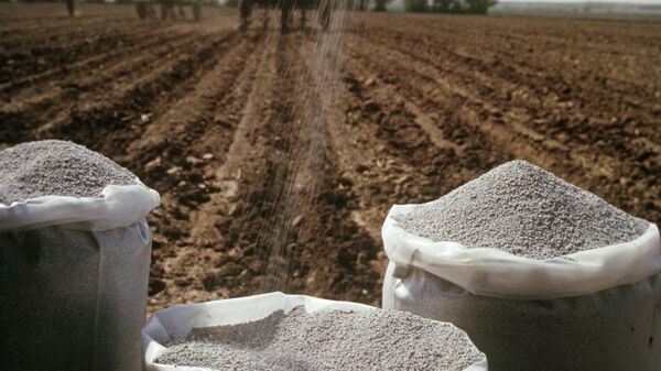 Fertilizantes utilizados em lavoura no Leste Europeu - Sputnik Brasil