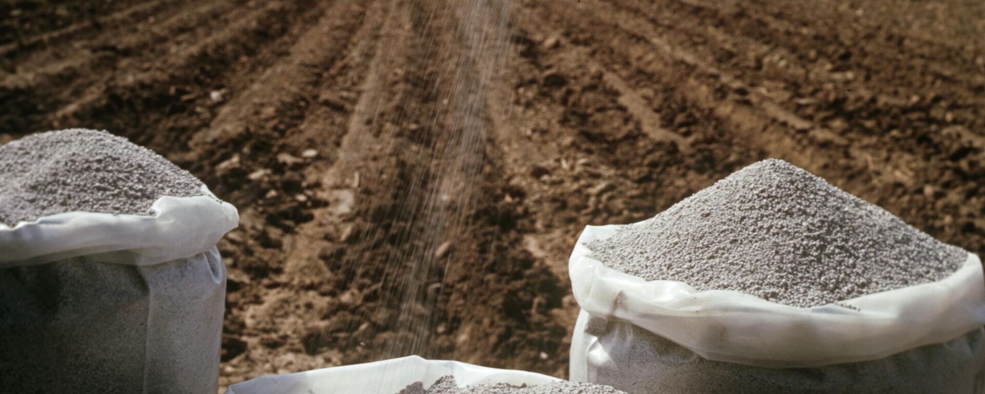 Fertilizantes utilizados em lavoura no Leste Europeu - Sputnik Brasil, 1920, 02.06.2026