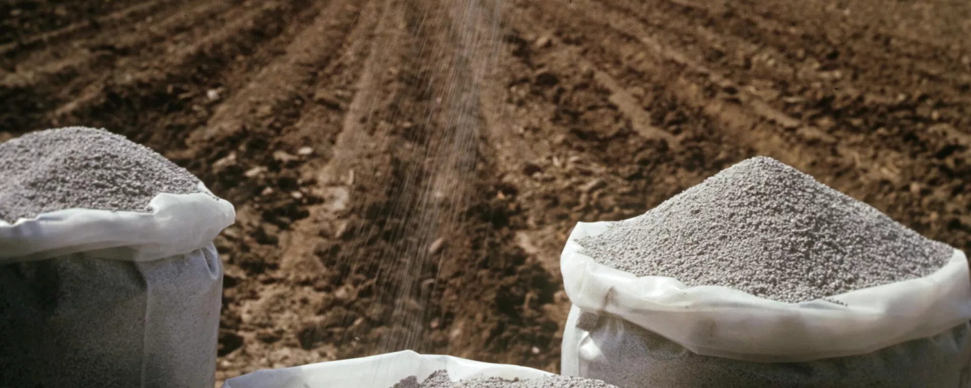 Fertilizantes utilizados em lavoura no Leste Europeu - Sputnik Brasil, 1920, 02.06.2026