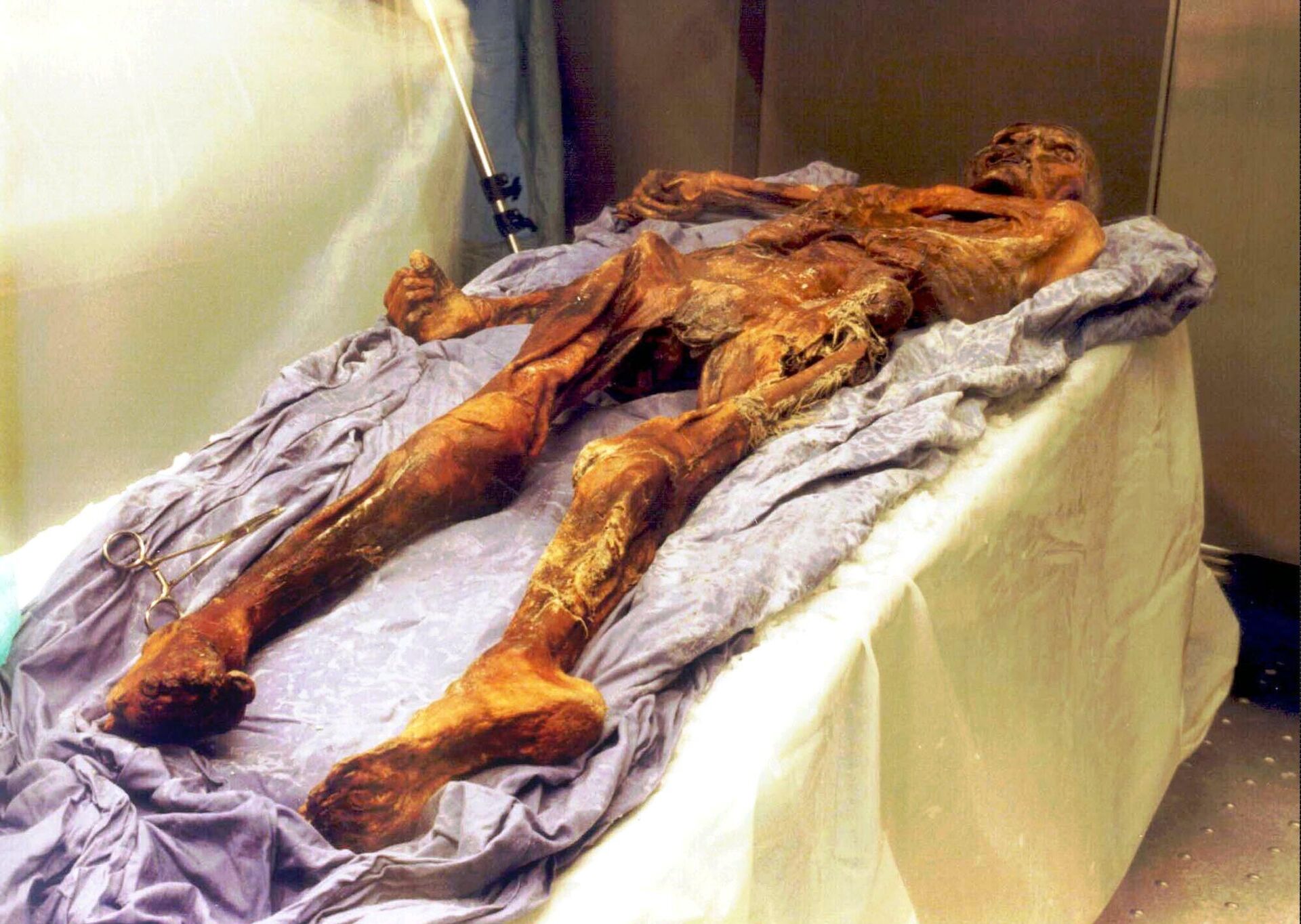 Múmia Oetzi de 5.300 anos. Múmia Oetzi de 5.300 anos.