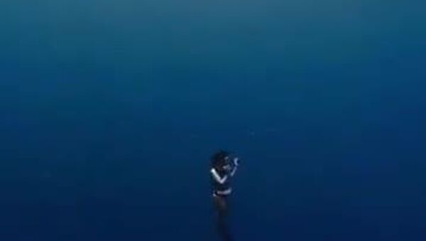 Nadadora divide mar com baleias gigantes em encontro raro no oceano - Sputnik Brasil