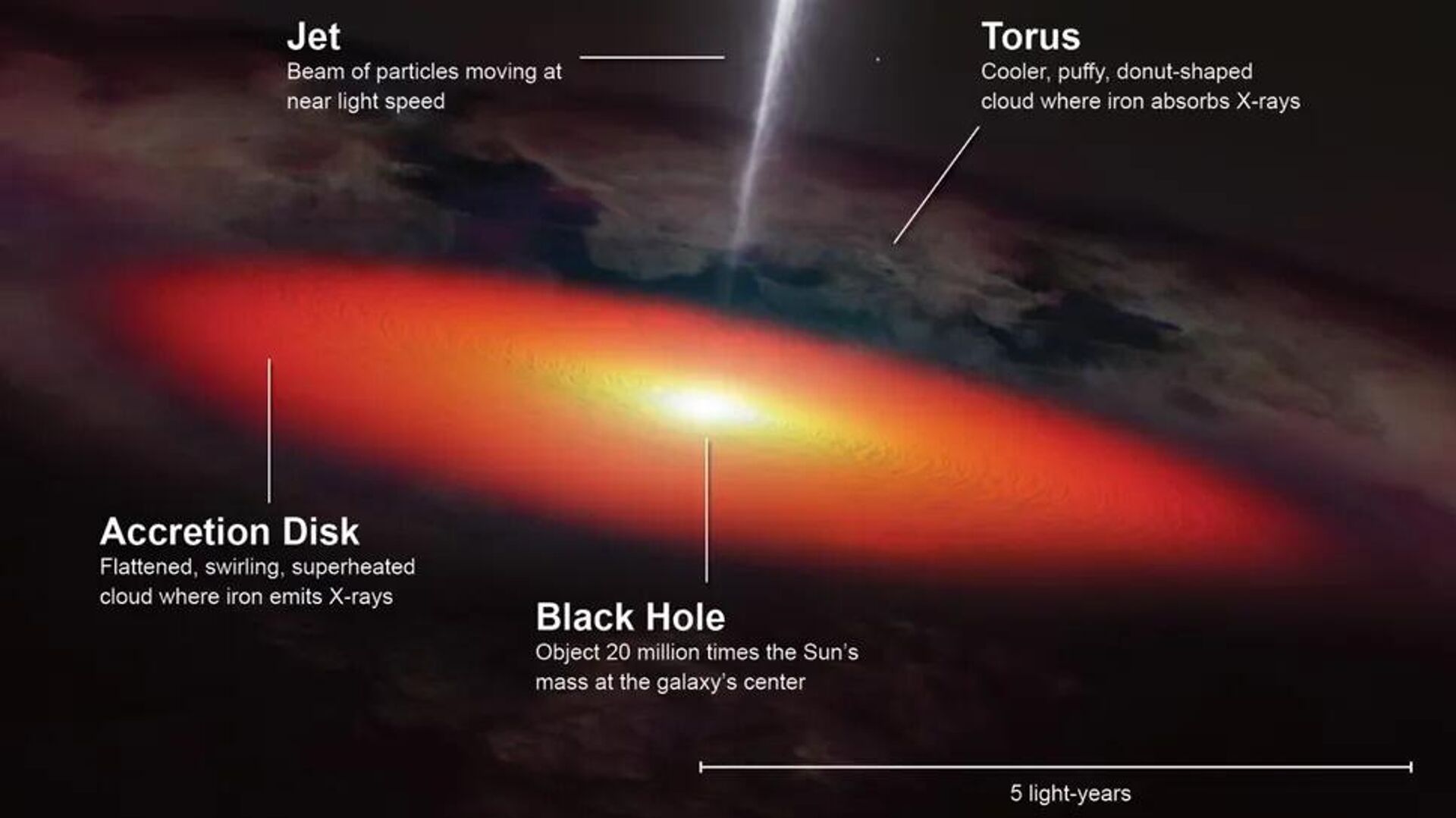 Ilustração mostra a anatomia do buraco negro supermassivo e do núcleo galáctico ativo (AGN) no centro da NGC 4151: o jato de partículas em alta velocidade (Jet); o toro — a estrutura fria, espessa e em forma de donut composta por gás e poeira — que circunda o núcleo; o disco de acreção em vermelho; e, no centro, o buraco negro supermassivo com 20 milhões de massas solares Ilustração mostra a anatomia do buraco negro supermassivo e do núcleo galáctico ativo (AGN) no centro da NGC 4151: o jato de partículas em alta velocidade (Jet); o toro — a estrutura fria, espessa e em forma de donut composta por gás e poeira — que circunda o núcleo; o disco de acreção em vermelho; e, no centro, o buraco negro supermassivo com 20 milhões de massas solares - Sputnik Brasil, 1920, 15.06.2026