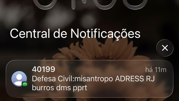 Sistema de alertas da Defesa Civil é invadido e mensagem falsa é disparada para celulares em diversas cidades brasileiras - Sputnik Brasil