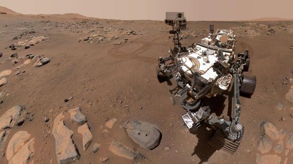 Uma selfie tirada pelo rover Perseverance - Sputnik Brasil
