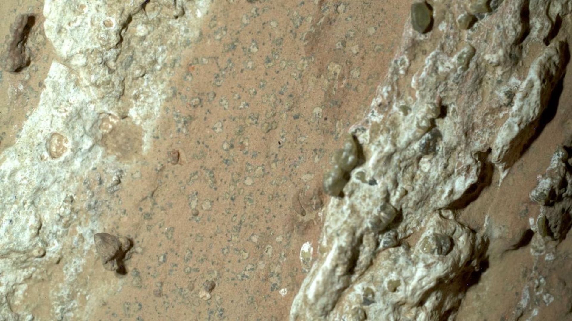 Em julho de 2024, o rover Perseverance da NASA descobriu manchas de leopardo em uma rocha avermelhada apelidada de Cheyava Falls na Cratera Jezero, em Marte - Sputnik Brasil, 1920, 25.06.2026
