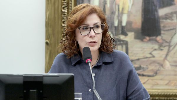 Carla Zambelli, à época deputada federal (PL-SP), durante discussão e votação de proposta legislativa em 25 de junho de 2024 - Sputnik Brasil