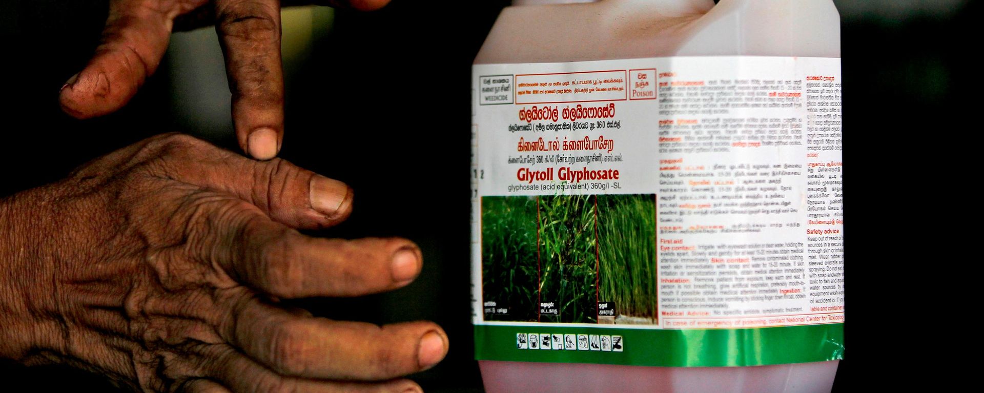 Vendedor de agroquímicos do Sri Lanka dá instruções sobre como usar o glifosato, herbicida mais popular do país, em ponto de venda de produtos químicos em Padaviya, em 24 de julho de 2014 - Sputnik Brasil, 1920, 02.07.2026