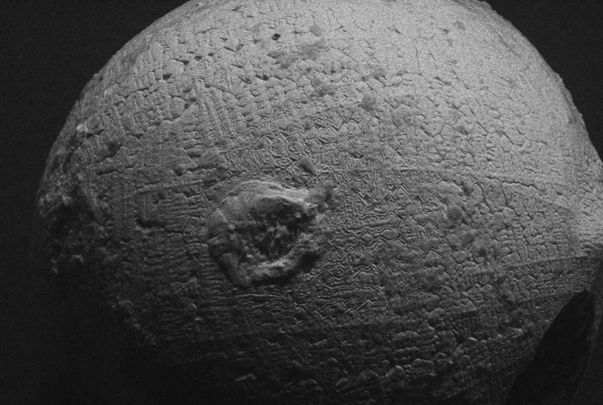 Micrometeorito visto ao microscópio eletrônico de varredura Micrometeorito visto ao microscópio eletrônico de varredura