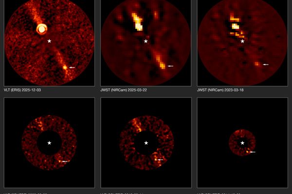 Mais de uma década de observações revelaram o planeta Beta Pictoris d - Sputnik Brasil