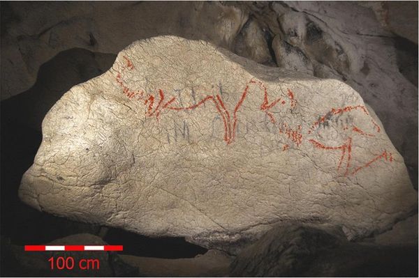 A pedra com figuras de bisões e uma cabeça de cavalo pintadas. - Sputnik Brasil