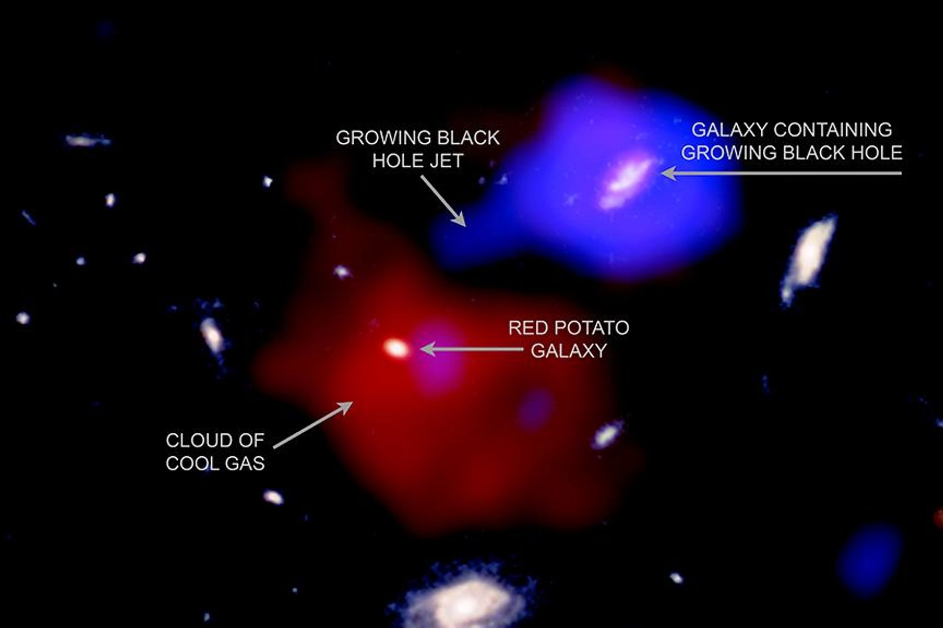 Da esquerda para a direita: imagem anotada da nuvem de gás frio (cor vermelha); no centro, a galáxia batata vermelha MQN01 J004131.9-493704; o jato azul do buraco negro supermassivo no centro da galáxia vizinha atingindo parte da nuvem de gás