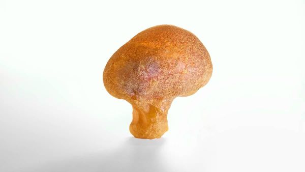 Âmbar em forma de gota - Sputnik Brasil