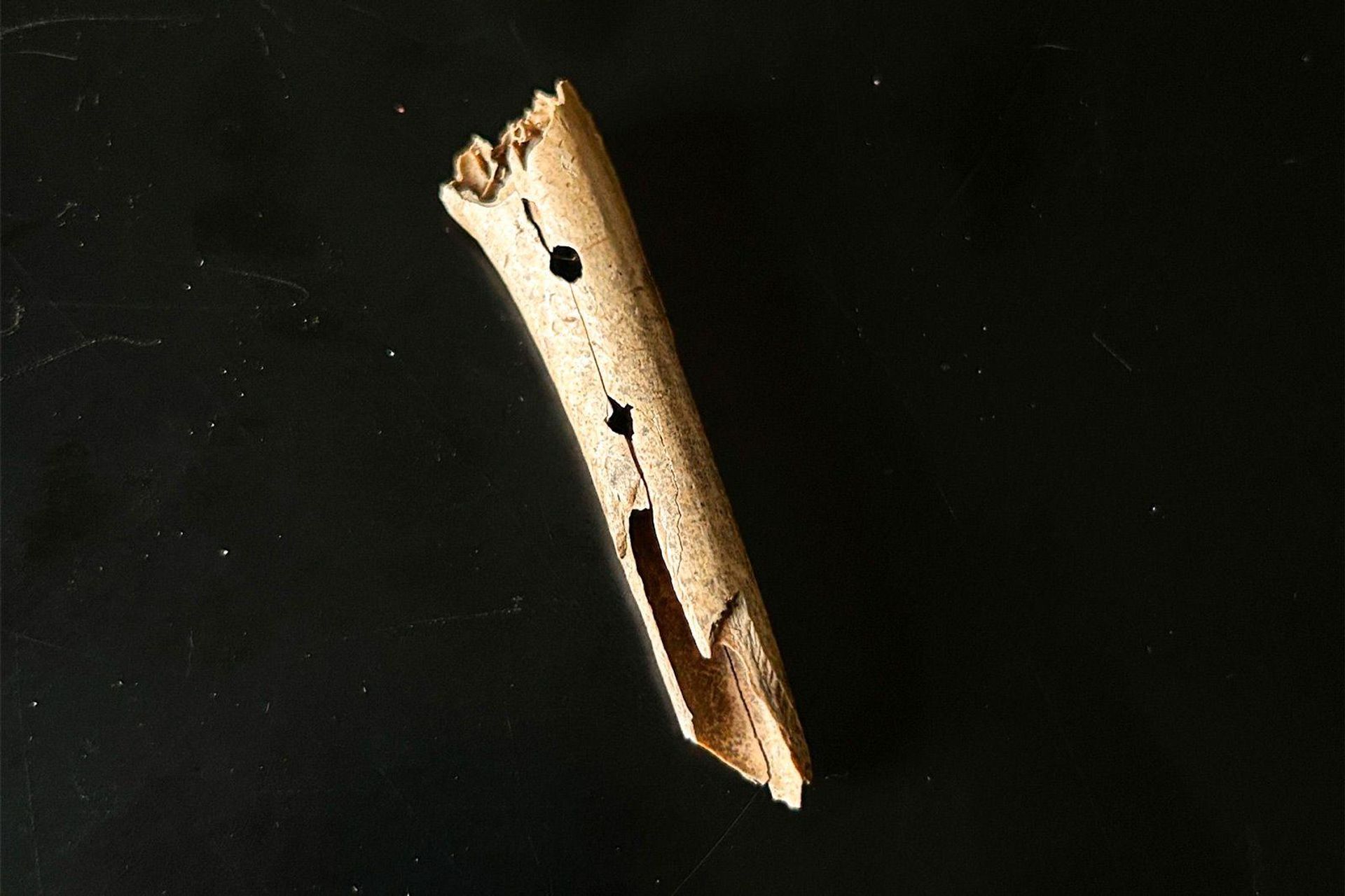 Fragmento de flauta ou pífaro de osso do início do século XVII, Moscou, Rússia Fragmento de flauta ou pífaro de osso do início do século XVII, Moscou, Rússia