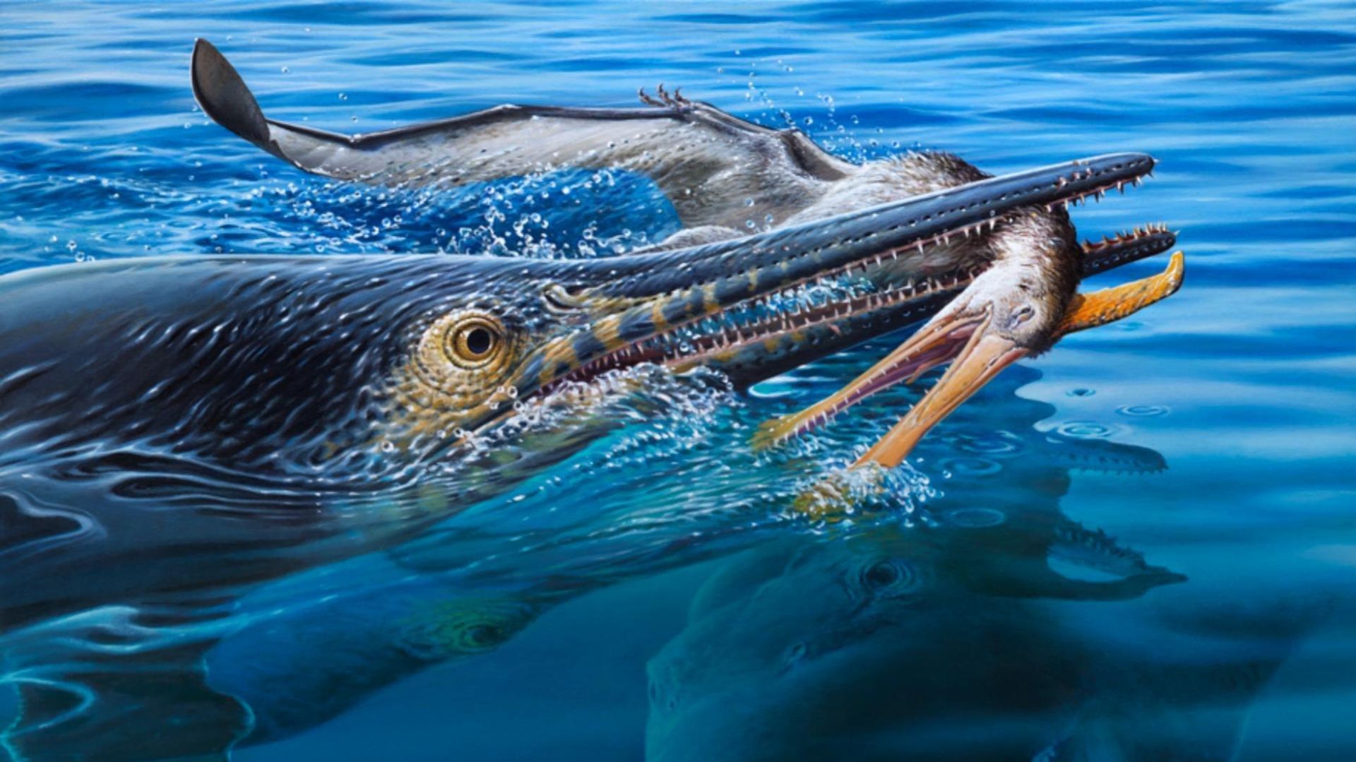 Figura 7: reconstrução da vida das prováveis interações tróficas identificadas no espécime KK F1435, apresentando Platypterygius australis, pterossauro (Ornithocheiroidae indet.) e Kronosaurus queenslandicus Figura 7: reconstrução da vida das prováveis interações tróficas identificadas no espécime KK F1435, apresentando Platypterygius australis, pterossauro (Ornithocheiroidae indet.) e Kronosaurus queenslandicus - Sputnik Brasil, 1920, 30.07.2026