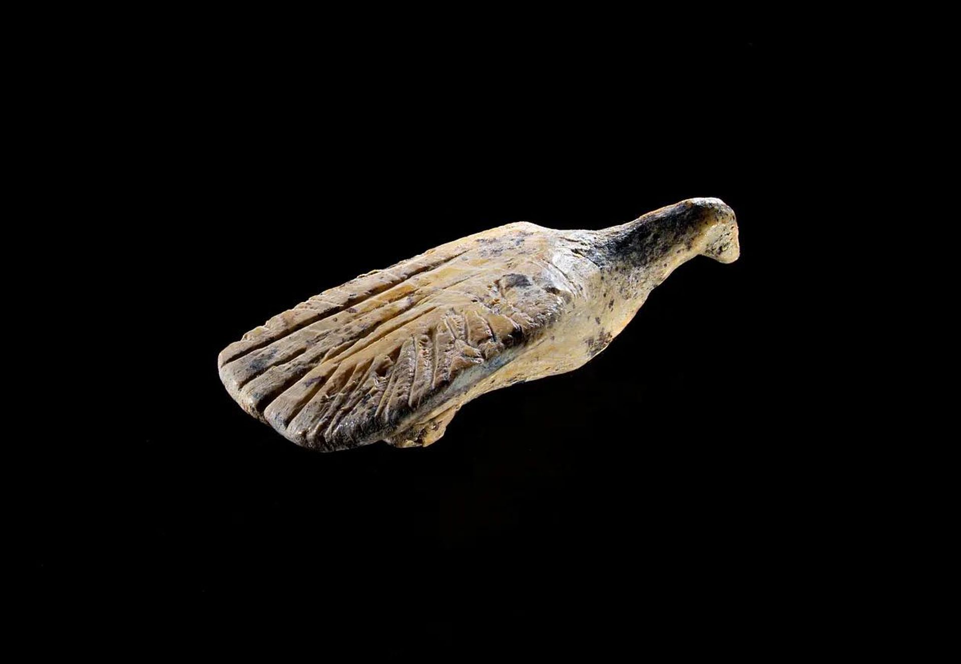 Figura de pássaro com asas abertas de aproximadamente 40.000 anos