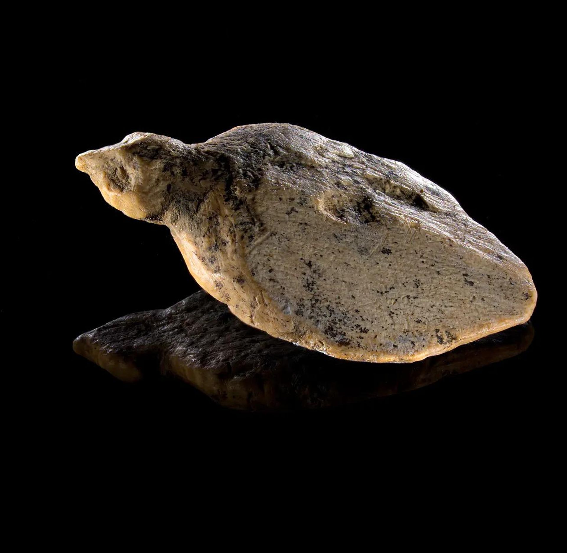  Figura de pássaro deitado com cerca de 40.000 anos de idade