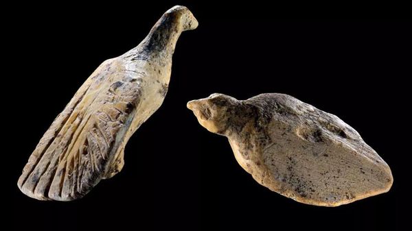Duas aves esculpidas em presas de mamute há 40 mil anos são encontradas em caverna na Alemanha - Sputnik Brasil