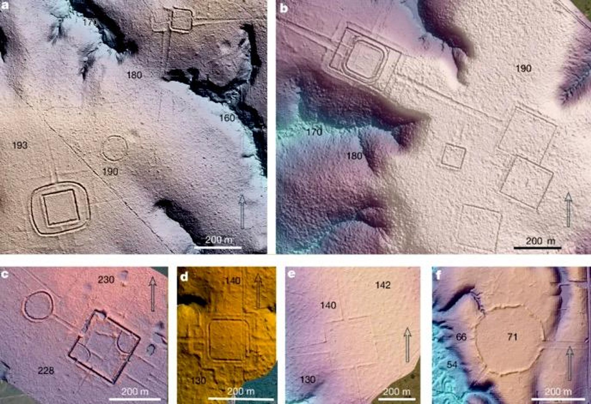 Modelos de terreno criados com base em dados LiDAR mostrando seis exemplos de estruturas de terraplanagem pré-coloniais no sudoeste da Amazônia - Sputnik Brasil, 1920, 31.07.2026
