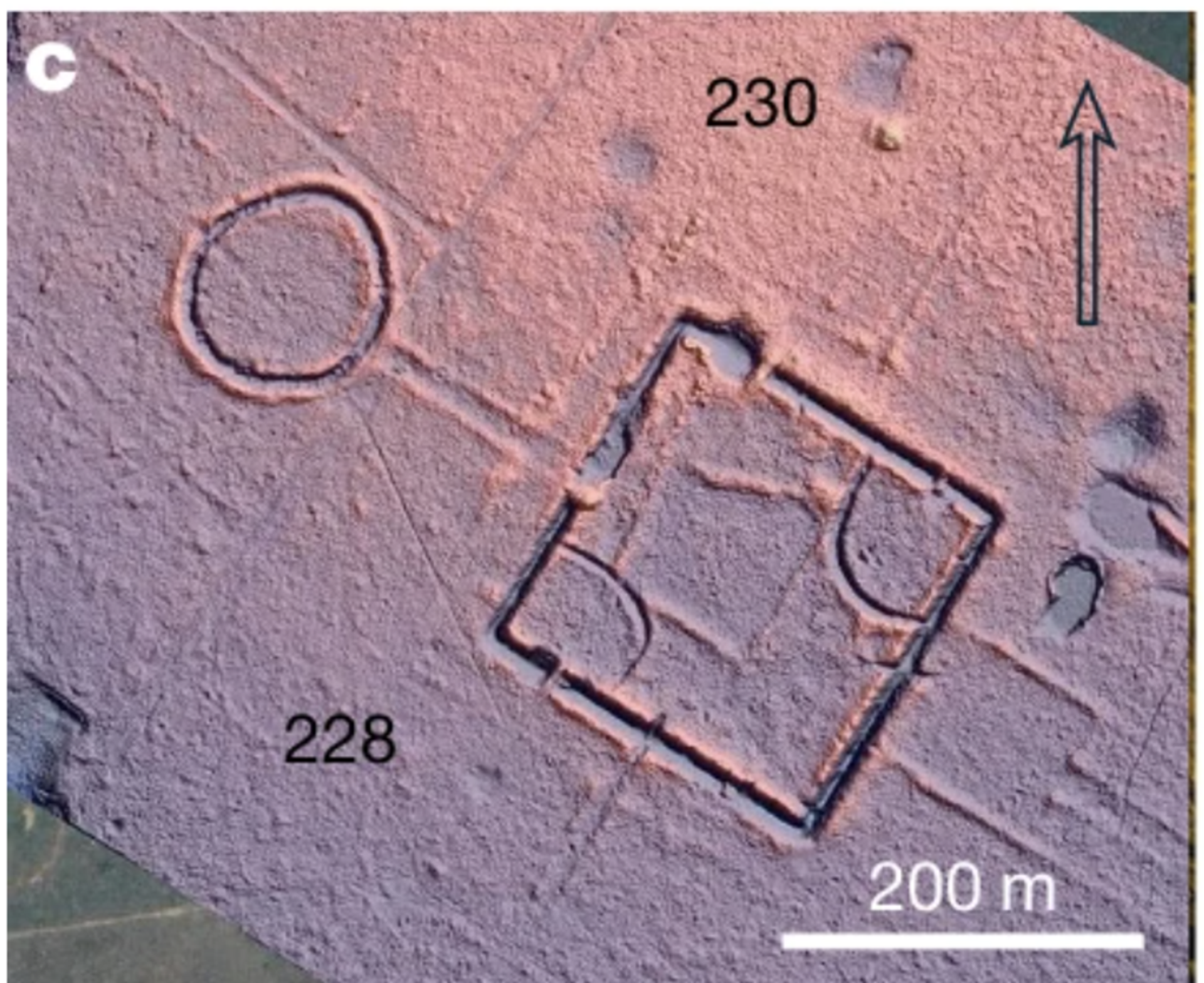 Imagem LiDAR da superfície terrestre no estado do Acre, em que linhas geométricas distintas indicam uma antiga estrutura de terra escondida sob a Floresta - Sputnik Brasil, 1920, 31.07.2026