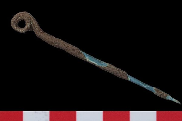 Pino de bronze com a cabeça em forma de bobina encontrado durante as escavações. - Sputnik Brasil