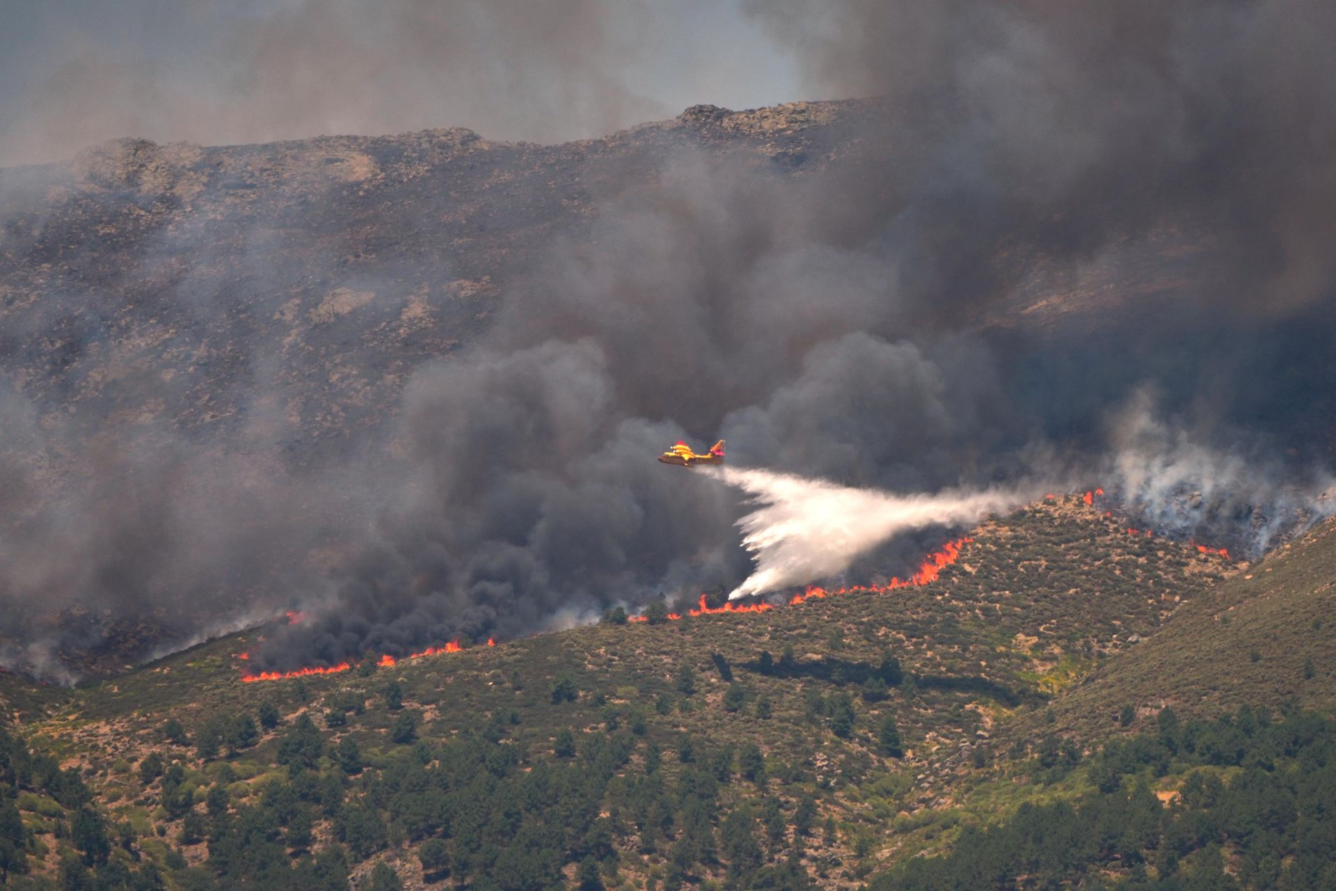 Um hidroavião lança água sobre o fogo enquanto um incêndio florestal avança perto de La Adrada, província de Ávila, Espanha, 24 de julho de 2026 - Sputnik Brasil, 1920, 03.08.2026