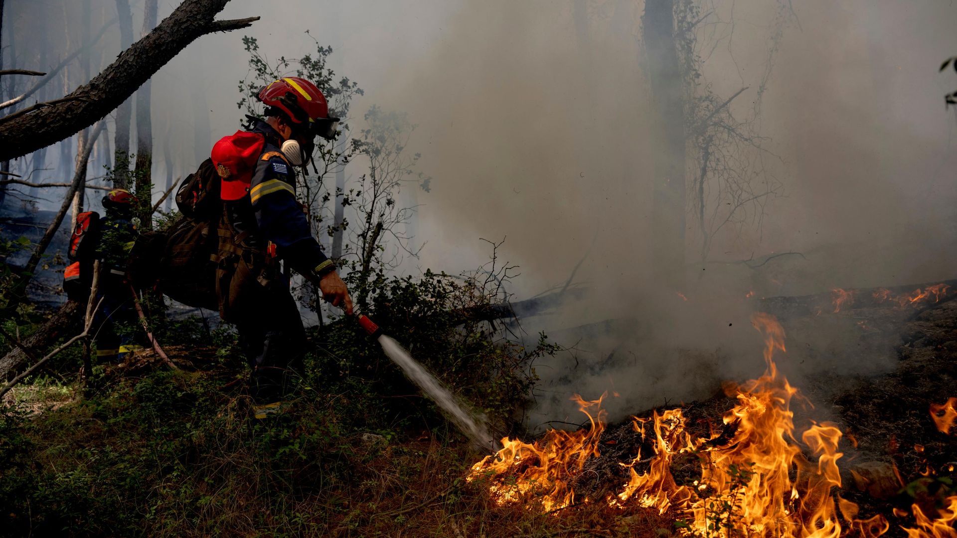 Bombeiros atuam no combate a um incêndio florestal perto de Porto Germeno, a noroeste de Atenas, Grécia, 1º de agosto de 2026 Bombeiros atuam no combate a um incêndio florestal perto de Porto Germeno, a noroeste de Atenas, Grécia, 1º de agosto de 2026 - Sputnik Brasil, 1920, 04.08.2026