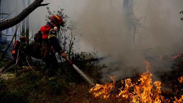 Bombeiros atuam no combate a um incêndio florestal perto de Porto Germeno, a noroeste de Atenas, Grécia, 1º de agosto de 2026 - Sputnik Brasil