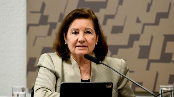 A diplomata Maria Luiza Ribeiro Viotti na Comissão de Relações Exteriores e Defesa Nacional (CRE) do Senado - Sputnik Brasil