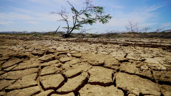 Rachaduras no solo seco de Cabo de la Vela, Colômbia (imagem de referência) - Sputnik Brasil