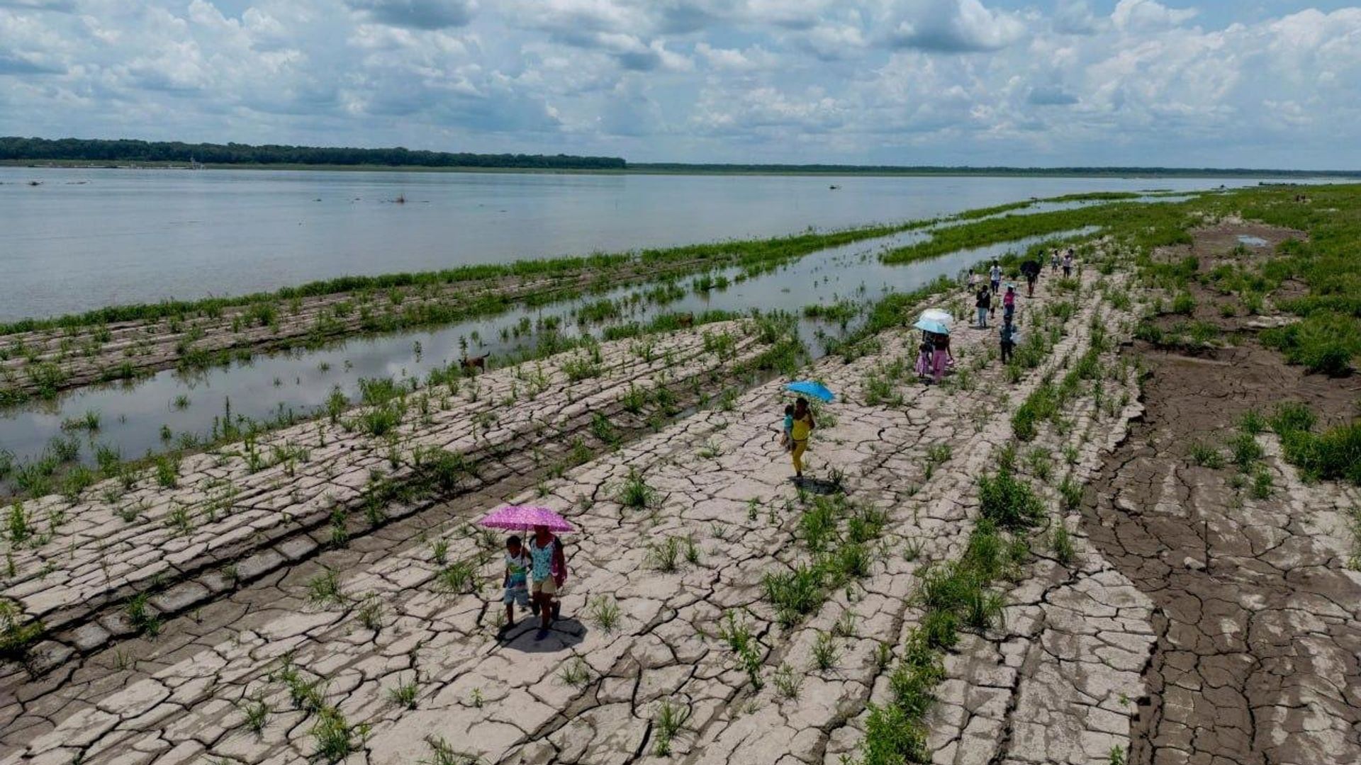 Impacto global do El Niño é imprevisível, alertam cientistas Impacto global do El Niño é imprevisível, alertam cientistas - Sputnik Brasil, 1920, 12.08.2026